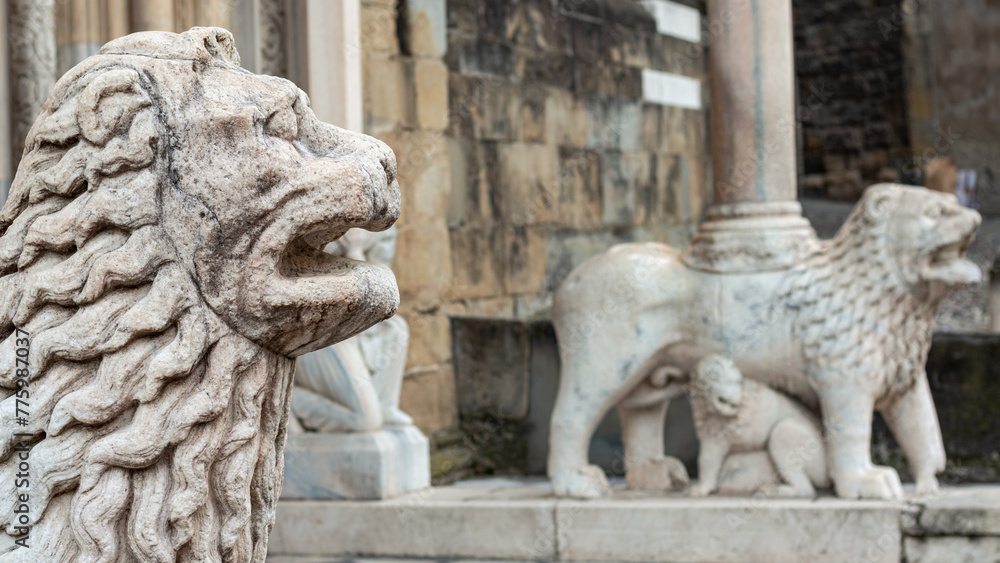 Lion sculpture in Basilica di Santa Maria Maggiore