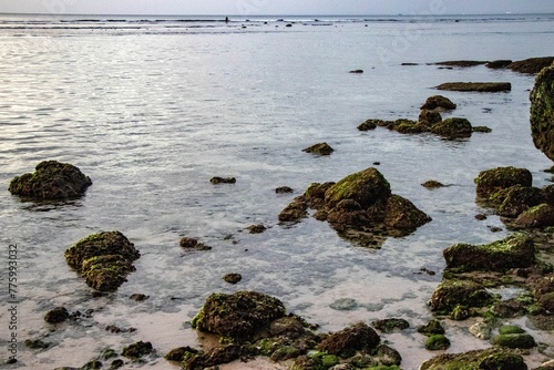 Beautiful view of rocks on the seashore © Wirestock