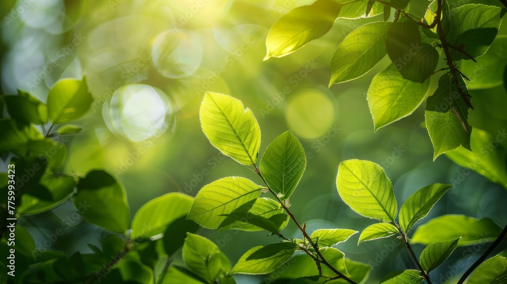 the essence of green leaves under the gentle caress of sunlight the essence of green leaves under the gentle caress of sunlight