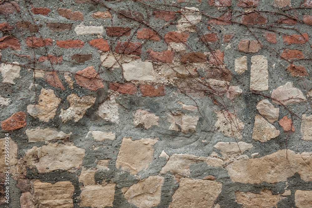 Ancient wall texture background with old bricks with dry plant branches Ancient wall texture background with old bricks with dry plant branches