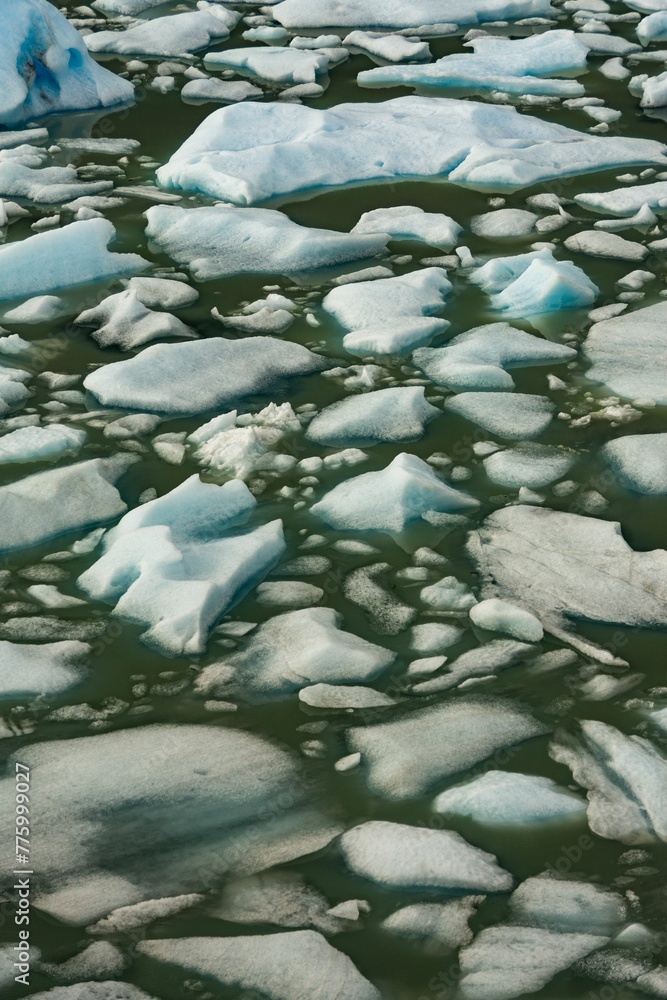 Vertical image of dirty water with pieces of ice in it Vertical image of dirty water with pieces of ice in it