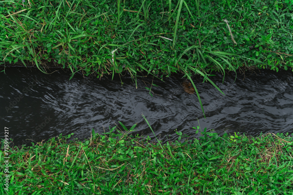 a View of Traditional Irrigation Canal in Bali with Surrounding of Green Grass a View of Traditional Irrigation Canal in Bali with Surrounding of Green Grass