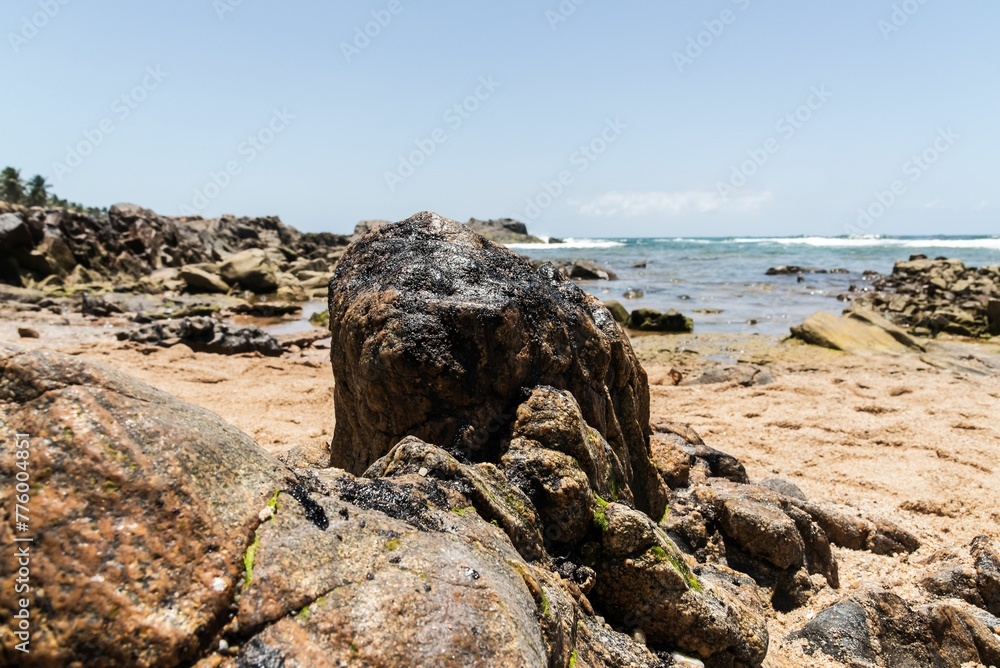 Pedra do Sal Beach polluted with oil in Salvador, Brazil