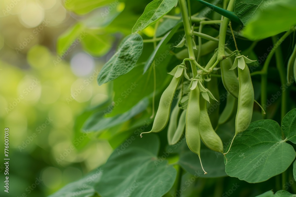 Nutritious Bean vigna. Dry pile food. Generate Ai Nutritious Bean vigna. Dry pile food. Generate Ai