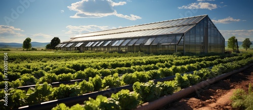 agricultural plant shed, with a solar panel farm above