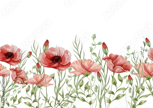 Watercolor poppy seamless border. Botanical frame of wild flowers and herbs. Summer floral composition