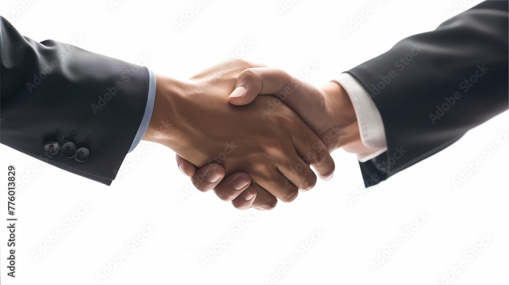 Two businessmen handshaking on a white background. Deal with a project. Two businessmen handshaking on a white background. Deal with a project.