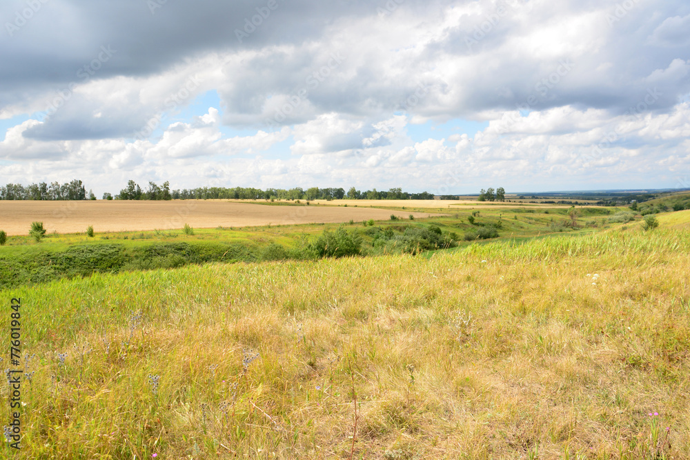 a field with the horizon and heavy clouds  copy space