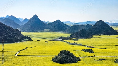 Mustard fields dot the landscape in Loupin Rooster Hills, China photo