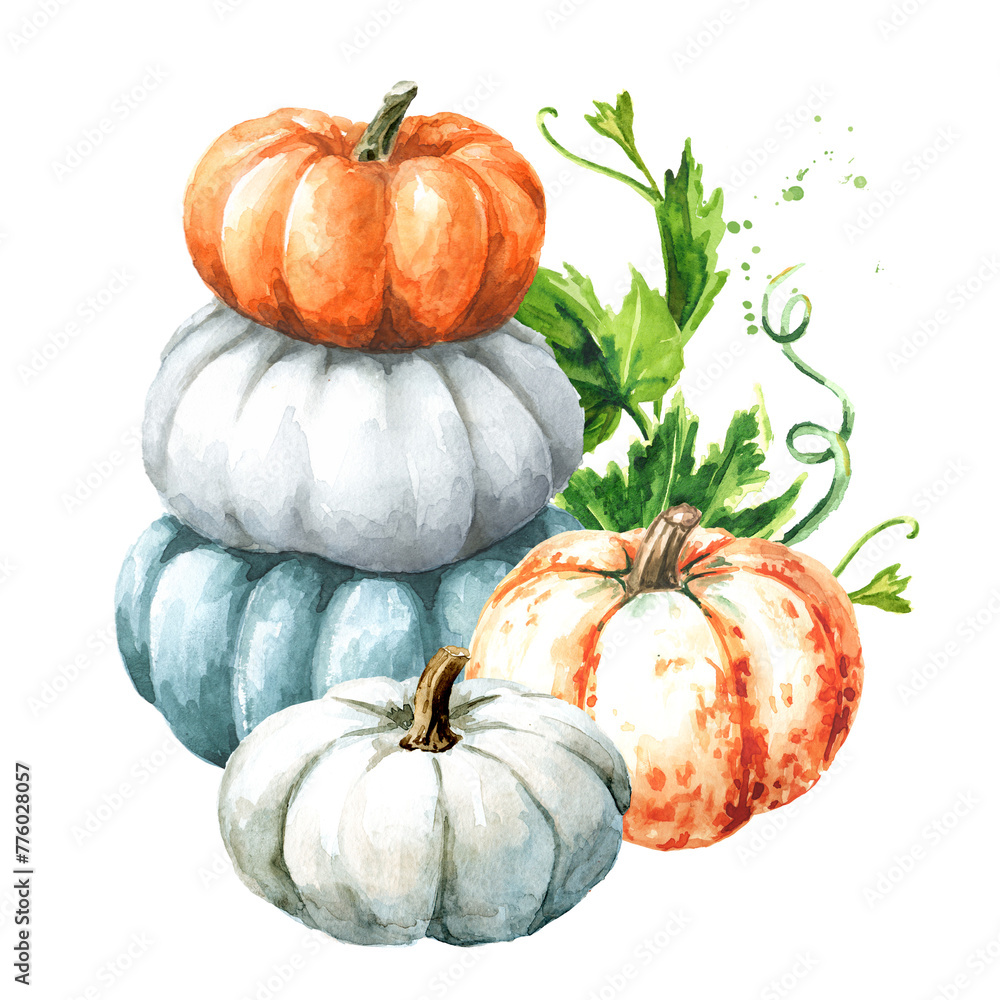 Stack of pumpkins, Hand drawn watercolor illustration, isolated on white background
