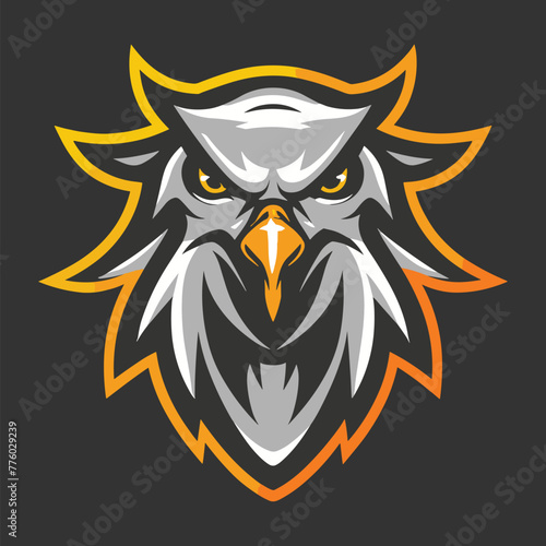 vision eagle head vector mascot