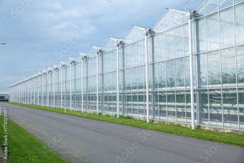 The modern appearance of vegetable greenhouses © Echo