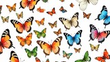 Beautiful-Butterfly-Nature-Insects-Colorful-Cl-