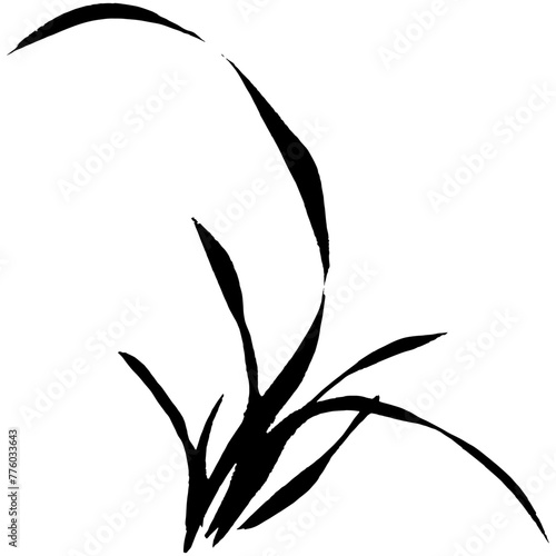 Vector watercolor of orchid flowers. Traditional chinese ink and wash painting