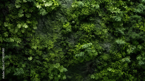 Green moss and background. Backdrop for displaying products. Dark forest background.