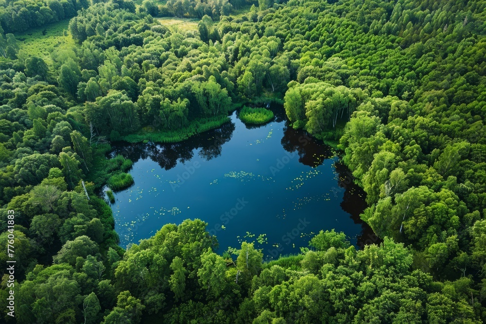 A lush green lake is seen from above, encircled by dense trees in a nature reserve, highlighting the rich biodiversity of the area