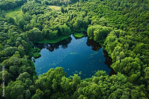 A lush green lake is seen from above, encircled by dense trees in a nature reserve, highlighting the rich biodiversity of the area