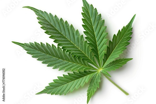Marijuana leaf on white background with shadow.