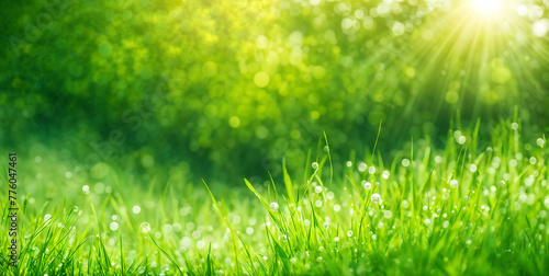 Blurred texture background with bokeh  out-of-focus blur  bright sunny summer green