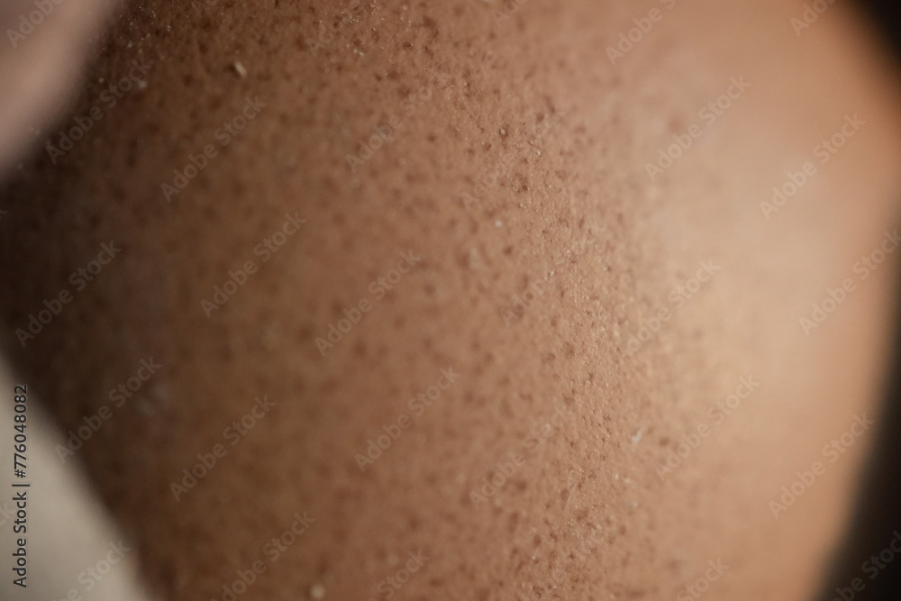 Fototapeta premium close up of an egg shell