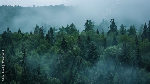 Layers of mist creating depth in a forest setting AI generated illustration