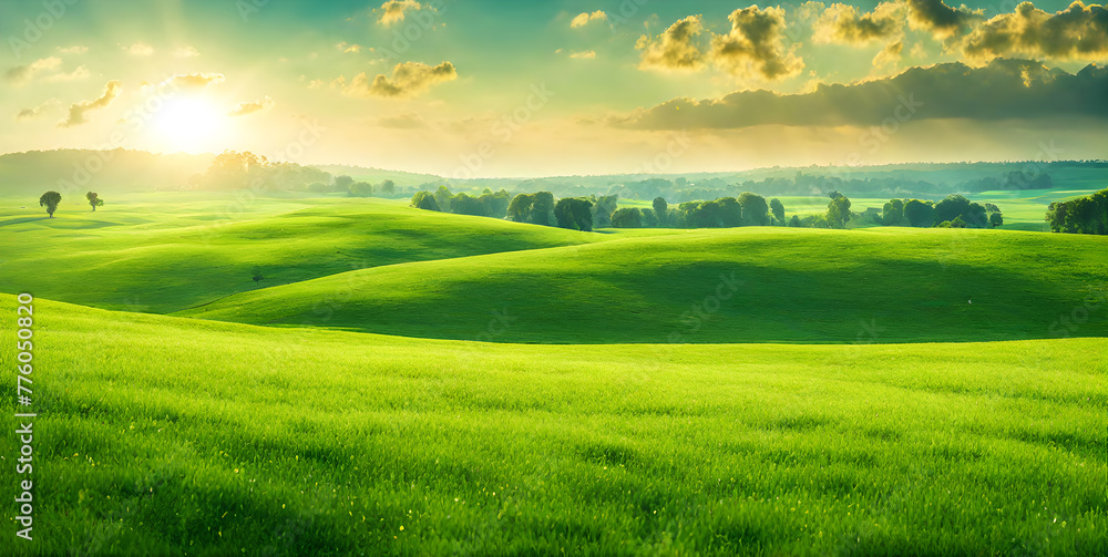 Minimalist photography capturing a sunny summer landscape with lush green vegetation Minimalist photography capturing a sunny summer landscape with lush green vegetation
