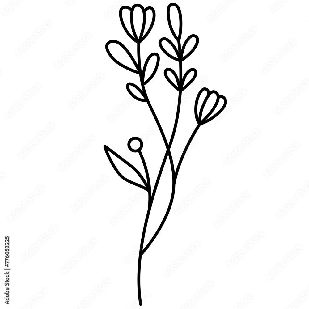 Wildflower Line Art Vector Illustration Wildflower Line Art Vector Illustration