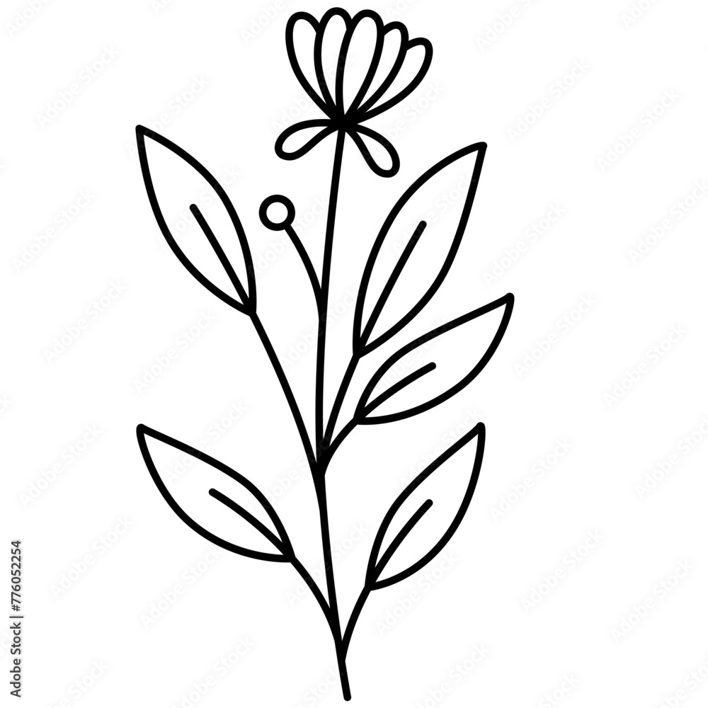 Wildflower Line Art Vector Illustration