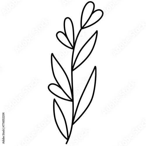 Wildflower Line Art Vector Illustration