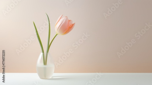  Elegant Single Tulip  Pastel Easter Minimalism.