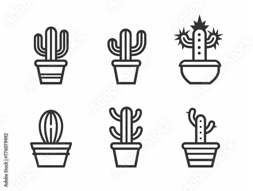 Potted cactus are lined up in a row. The potted plants are of different sizes and are placed in individual pots © Aisyaqilumar