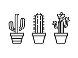Potted cactus are lined up in a row. The potted plants are of different sizes and are placed in individual pots