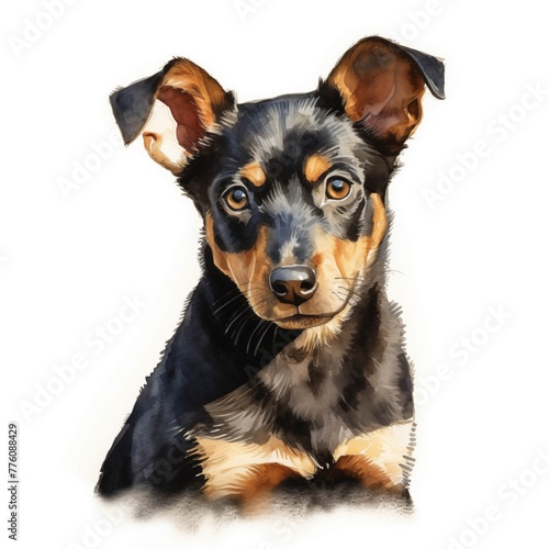 Kelpie dog. Australian kelpie dog. Australian sheepdog. Puppy clipart. Watercolor illustration. Generative AI. Detailed illustration.