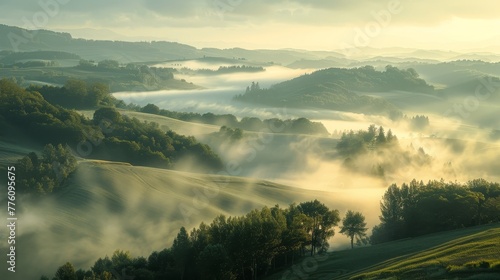 The foggy mountainside is covered in trees and grass. The misty atmosphere gives the scene a peaceful and serene mood