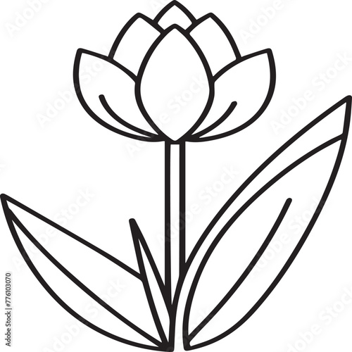 Tulip coloring pages. Tulip flower outline vector. Flowers coloring pages for coloring book