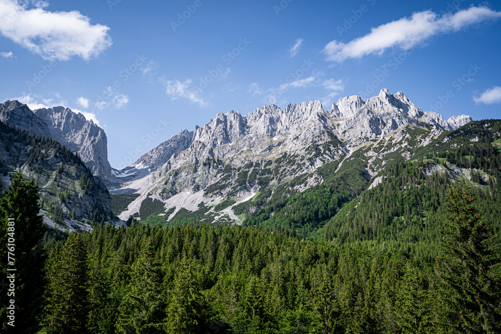 Alpenlandschaften - wunderschöner Bergwald vor einem majestätischen Hochgebirge.