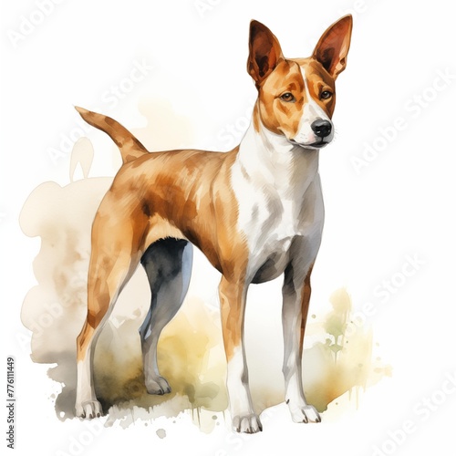 Basenji. African bush dog. African barkless dog clipart. Watercolor illustration. Generative AI. Detailed illustration.