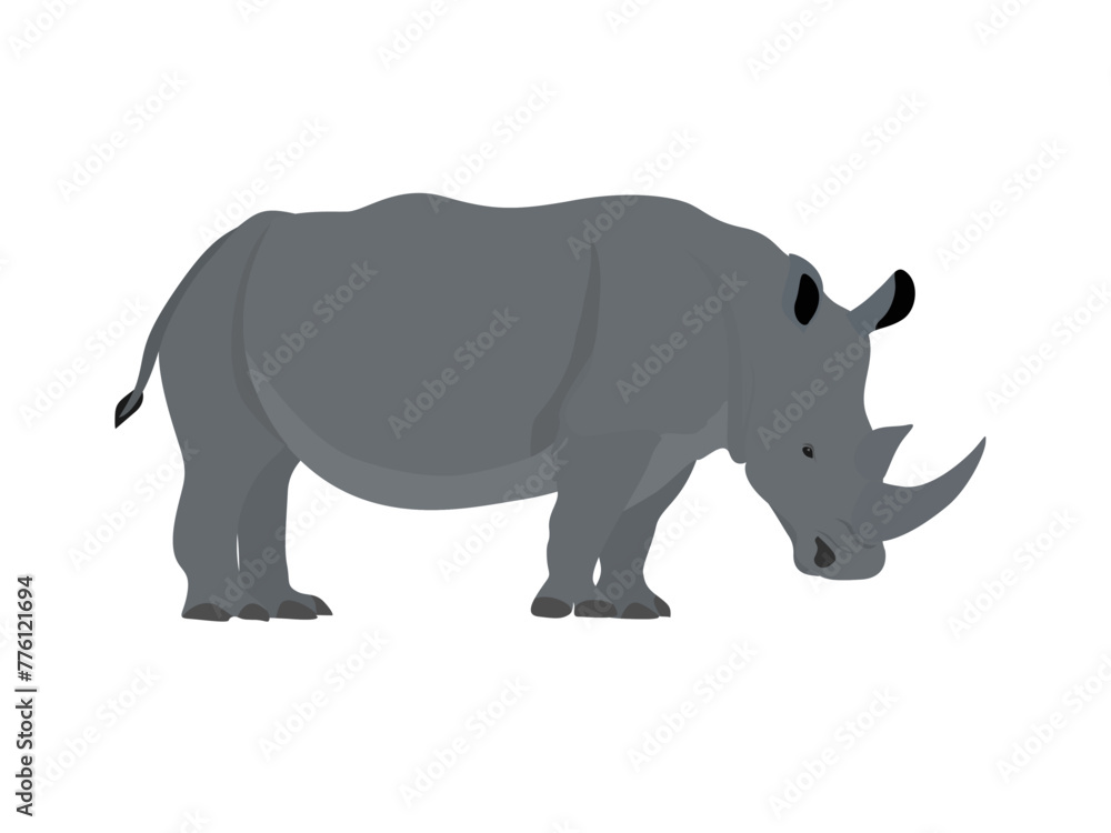 rhinoceros on a white background. rhinoceros on a white background.