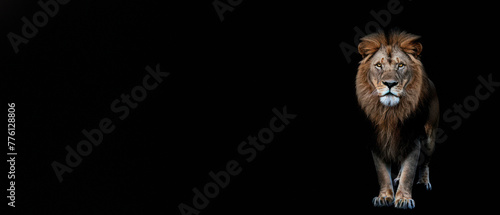 A full-body depiction of a mighty lion standing proud, its intense gaze commanding attention against a pure black backdrop