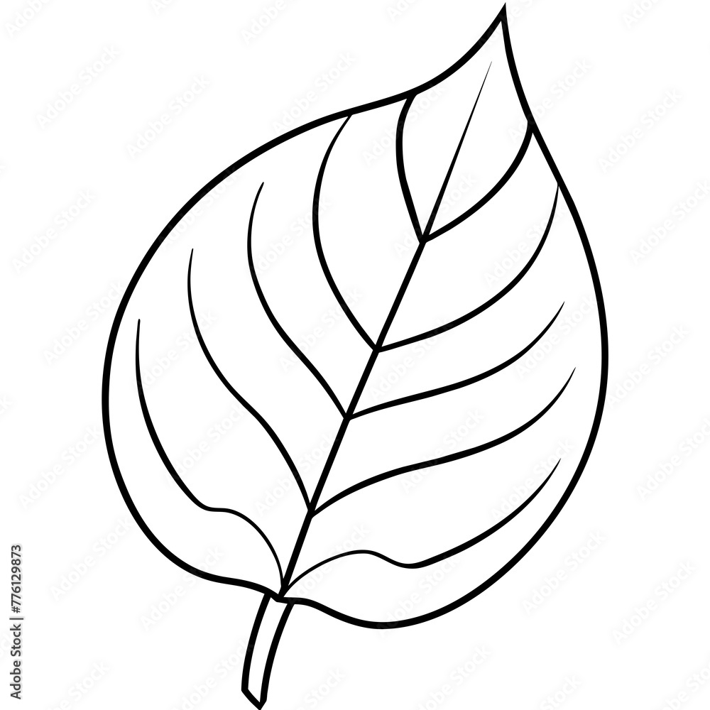 black and white feather