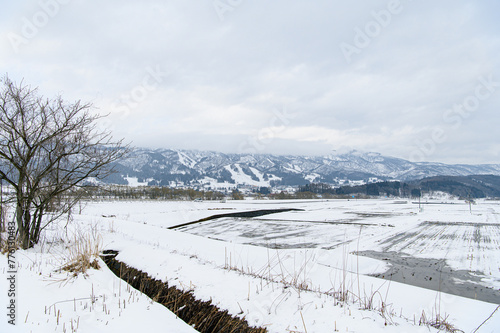 雪国での暮らし