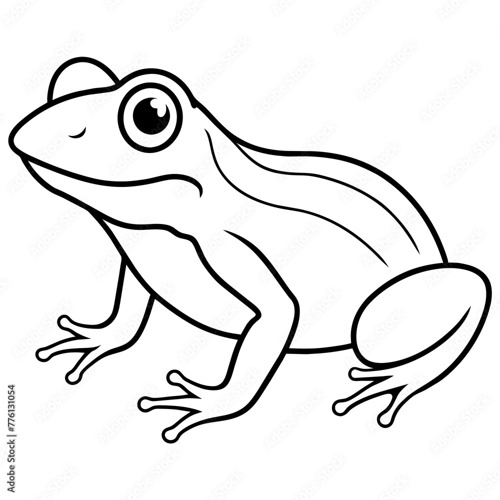 frog on white background frog on white background