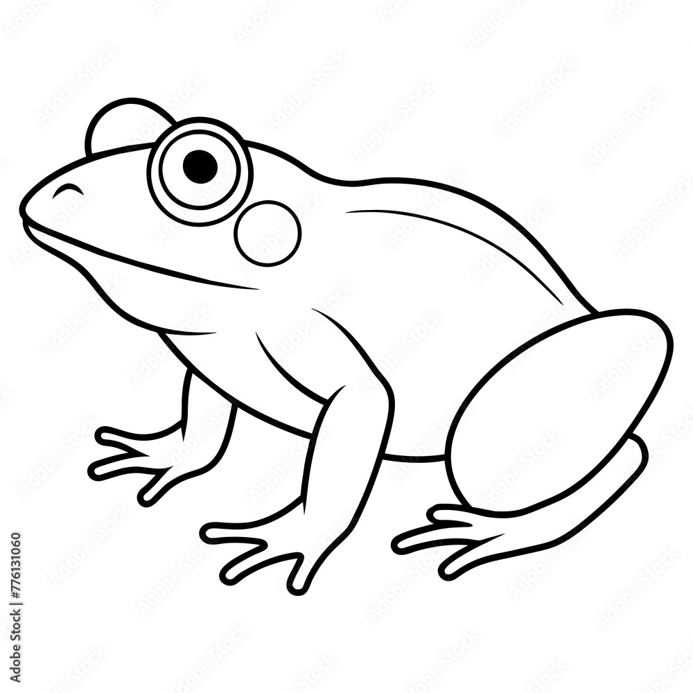 frog on white background frog on white background