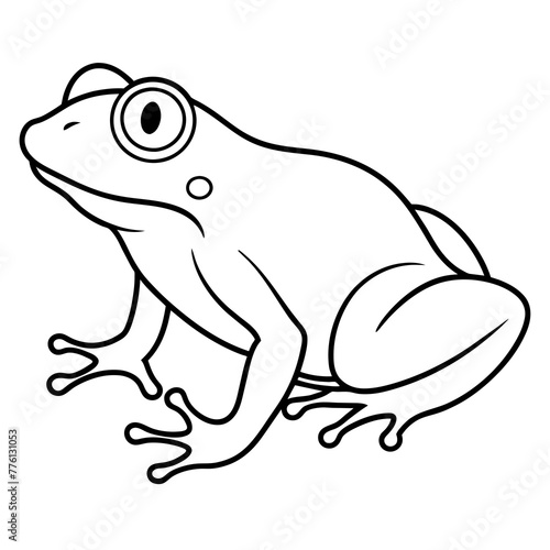 frog on a white