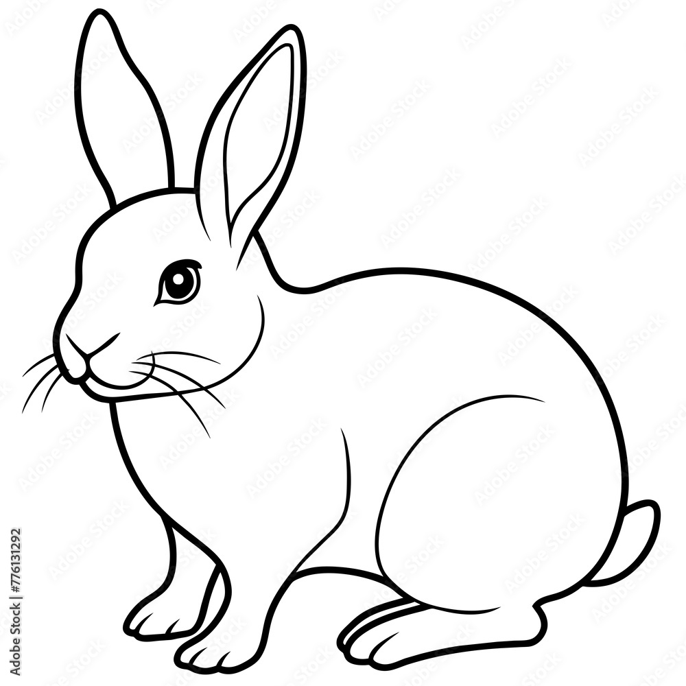 white rabbit on white background white rabbit on white background