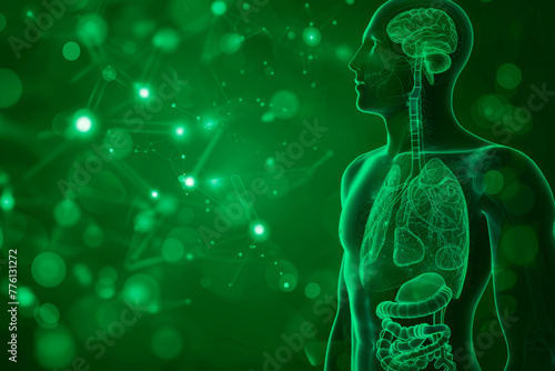 image of a person with internal organs, anatomy, brains, lungs, intestines, treatment of disease, bokeh movement on a green background