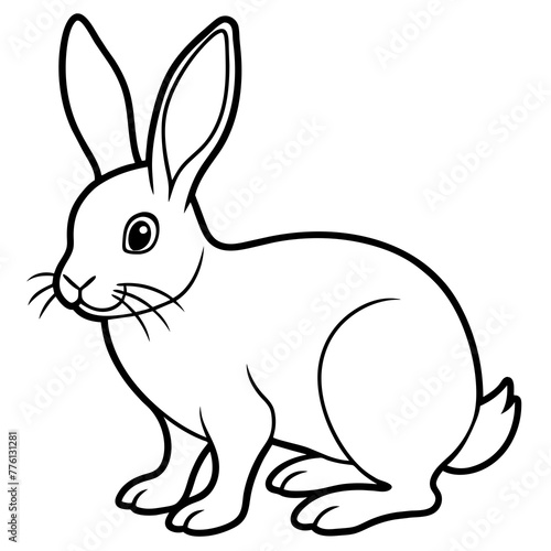 illustration of a rabbit