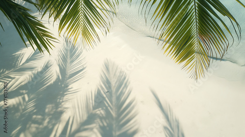 A play of light and shadows on a white sandy beach under lush palm trees, invoking a tropical paradise