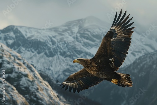 Majestic eagle in flight against a backdrop of snow-covered mountains, capturing the essence of freedom and the grandeur of wildlife.

