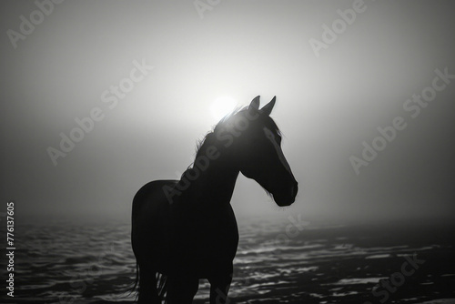 Silhouette of horse with harness on its face is standing in front of large body of water under foggy sky.
